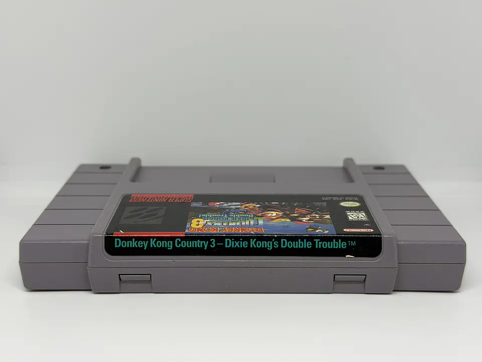 Donkey Kong Country 3: Dixie Kong's Double Trouble! 2