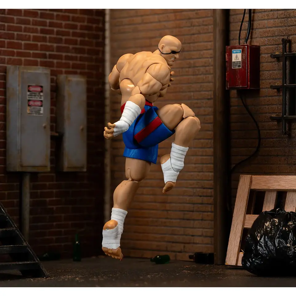 Ultra Street Fighter II Sagat Deluxe Figura de Acción 15 cm 7