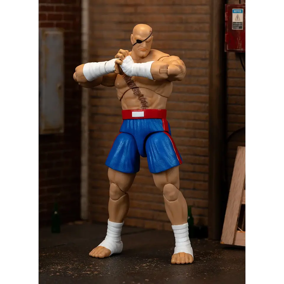 Ultra Street Fighter II Sagat Deluxe Figura de Acción 15 cm 8