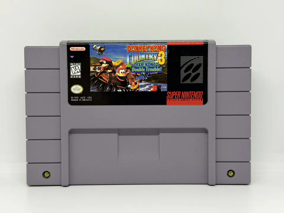 Donkey Kong Country 3: Dixie Kong's Double Trouble! 1