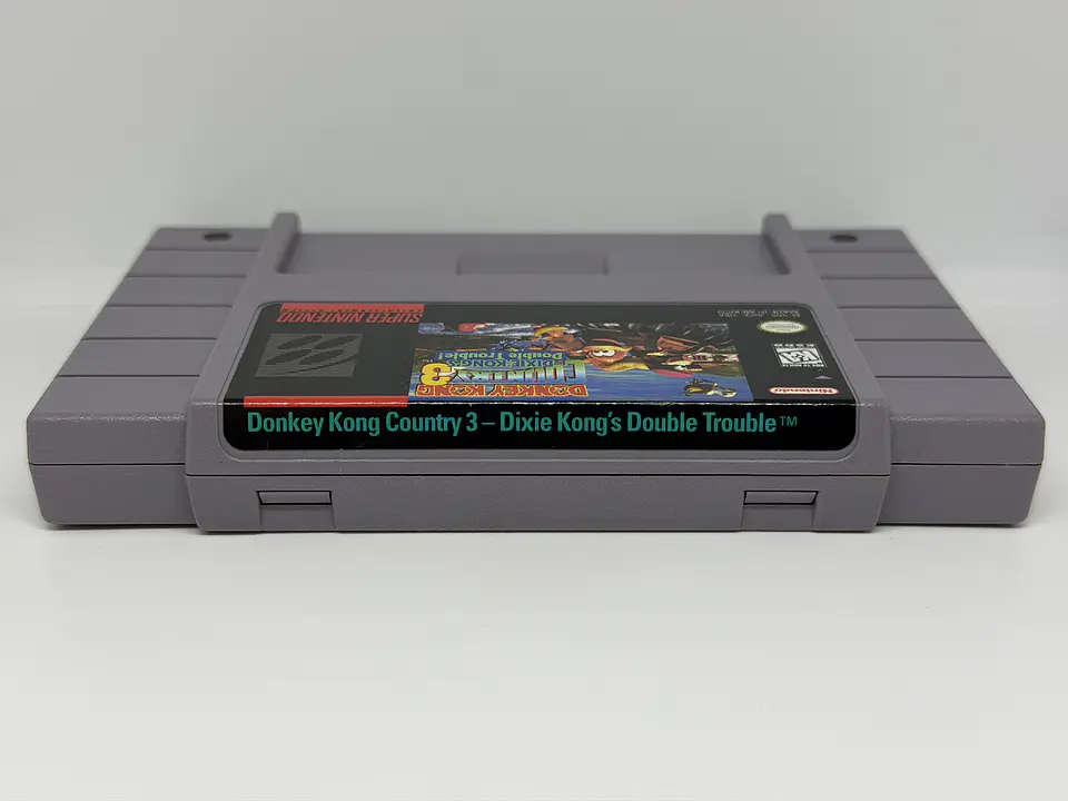 Donkey Kong Country 3: Dixie Kong's Double Trouble! 2