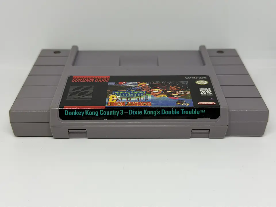 Donkey Kong Country 3: Dixie Kong's Double Trouble! 2