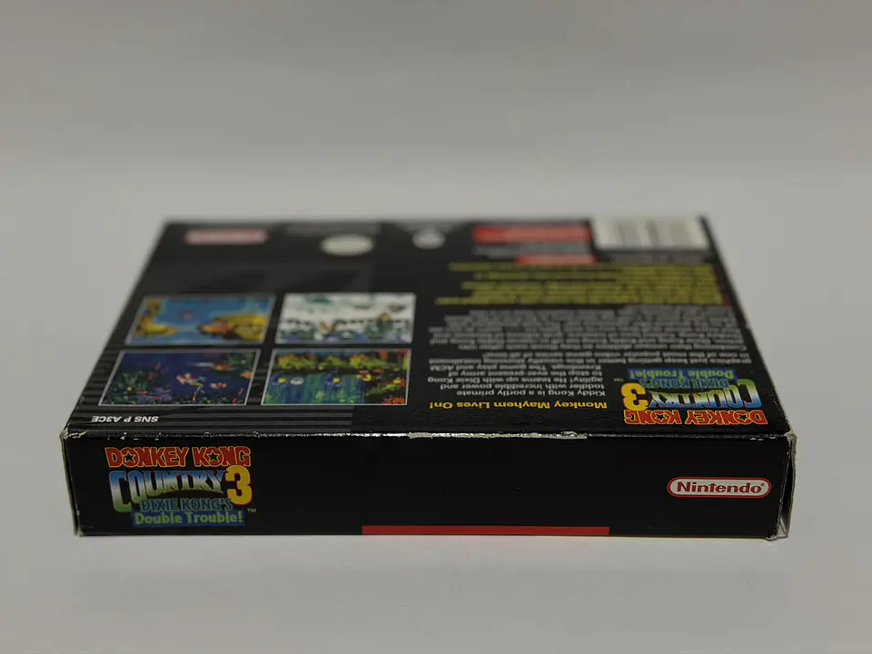 Donkey Kong Country 3: Dixie Kong's Double Trouble! 8