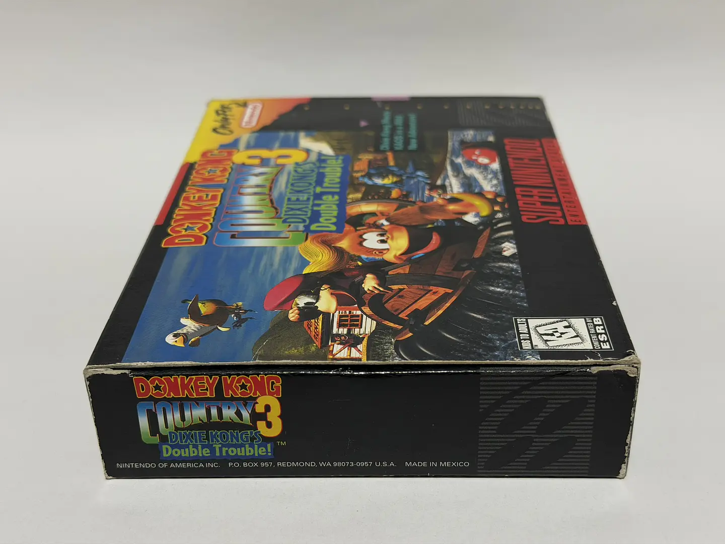 Donkey Kong Country 3: Dixie Kong's Double Trouble! 6
