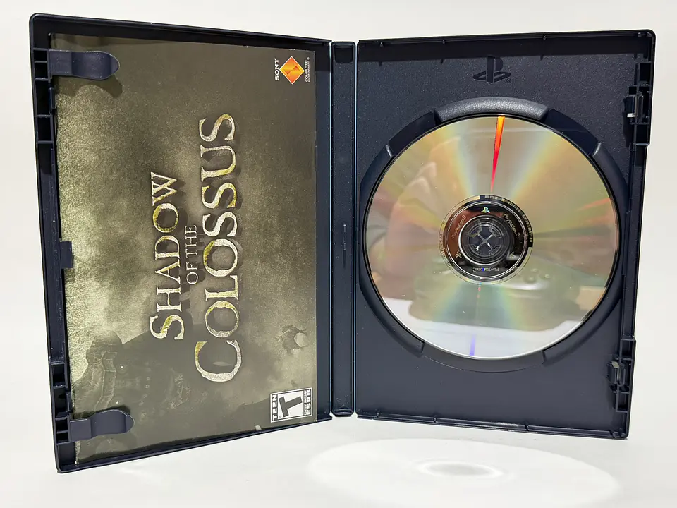 Shadow of the Colossus 4