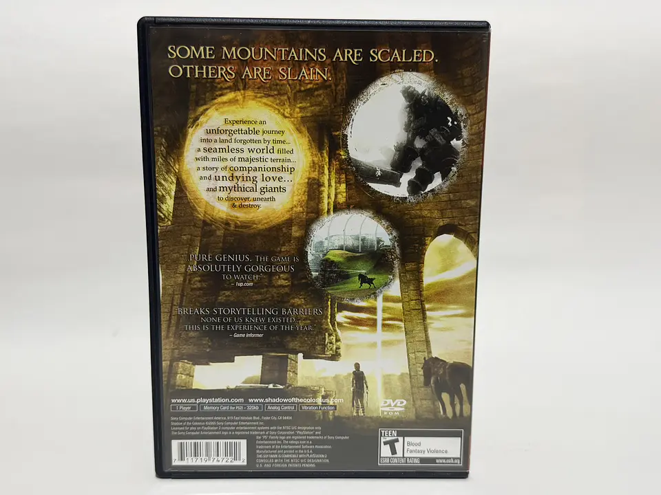 Shadow of the Colossus 2