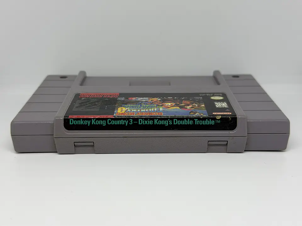 Donkey Kong Country 3: Dixie Kong's Double Trouble! 2