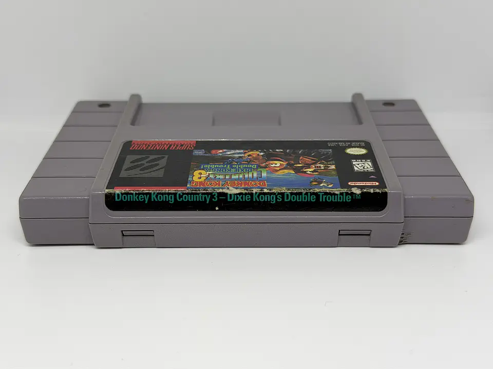 Donkey Kong Country 3: Dixie Kong's Double Trouble! 2