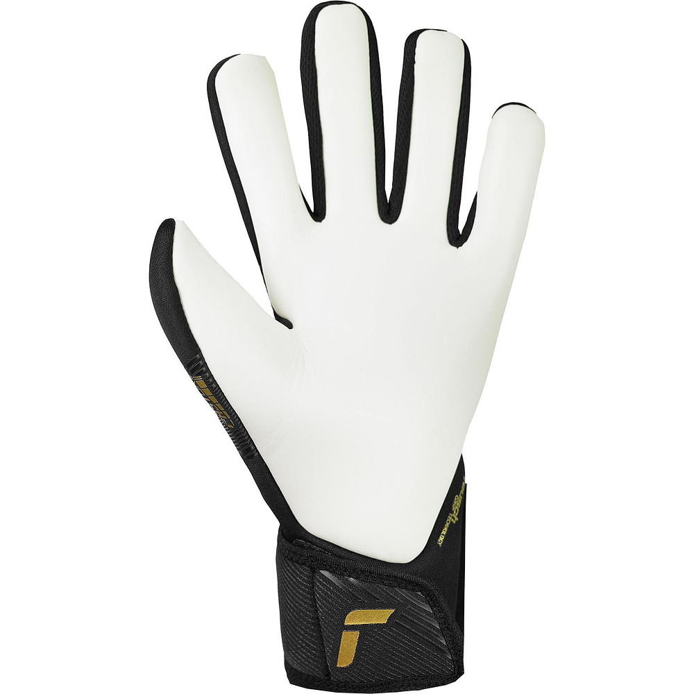 Guantes Arquero Reusch Fastgrip Silver Adulto GK25