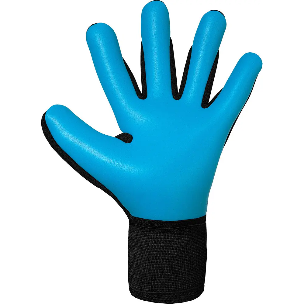 Guante Arquero Reusch Attrakt Freegel Aqua GK26
