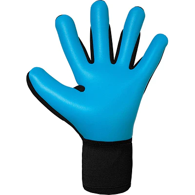 Guante Arquero Reusch Attrakt Freegel Aqua GK26