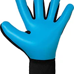 Guante Arquero Reusch Attrakt Freegel Aqua GK26