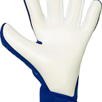 Guante Arquero Reusch Fastgrip Advance GK26