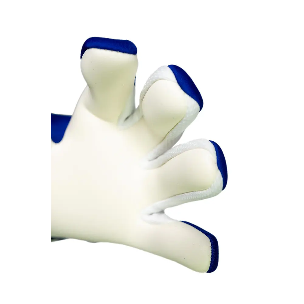 Guante Arquero Reusch Fastgrip Advance GK26