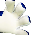 Guante Arquero Reusch Fastgrip Advance GK26