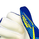 Guante Arquero Reusch Fastgrip Advance GK26