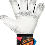 Guante Arquero Reusch Attrakt Advance Evolution Glueprint GK26