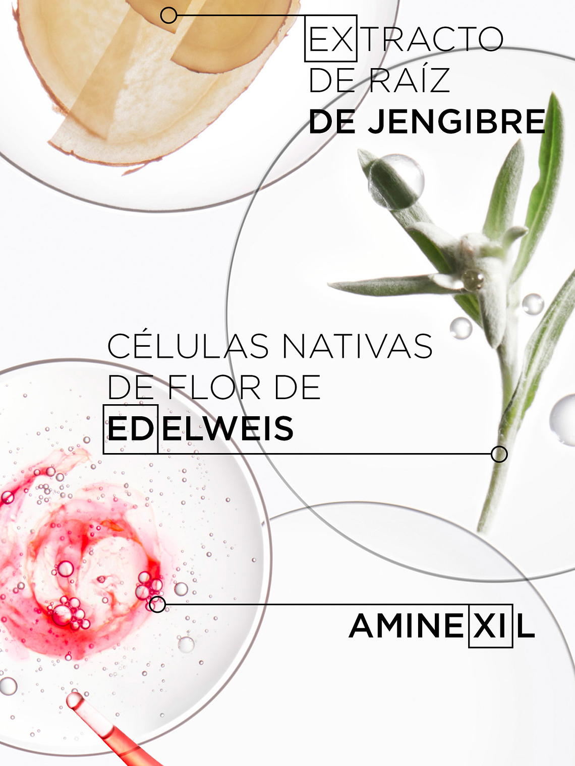 FONDANT RENFONÇATEUR 4