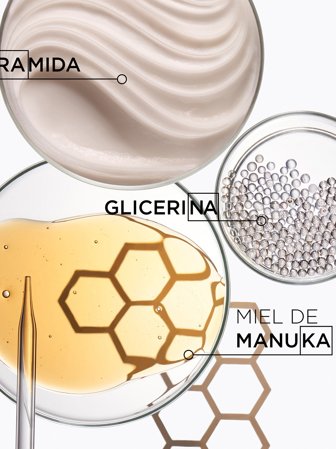 CRÈME DE JOUR FONDAMENTALE 5