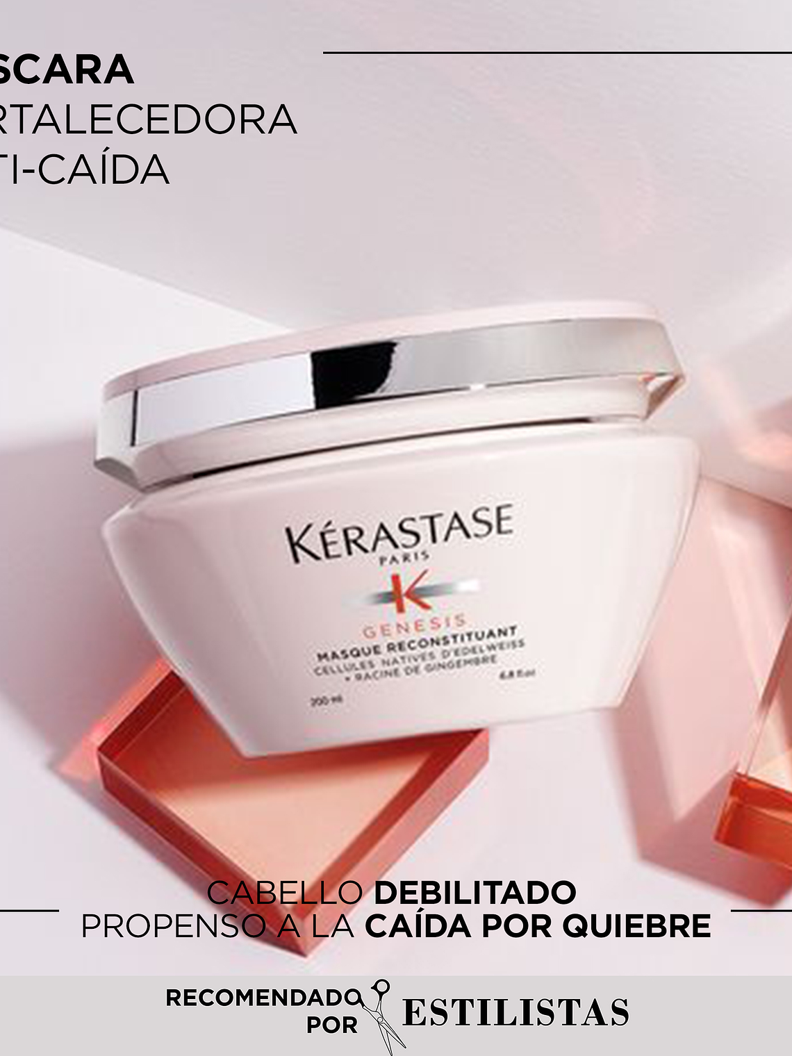 MASQUE RECONSTITUANT 2