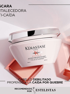 MASQUE RECONSTITUANT