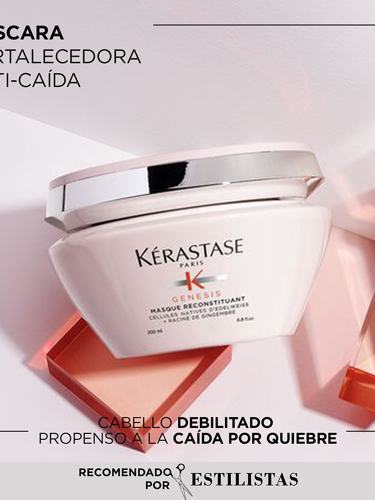 MASQUE RECONSTITUANT 2