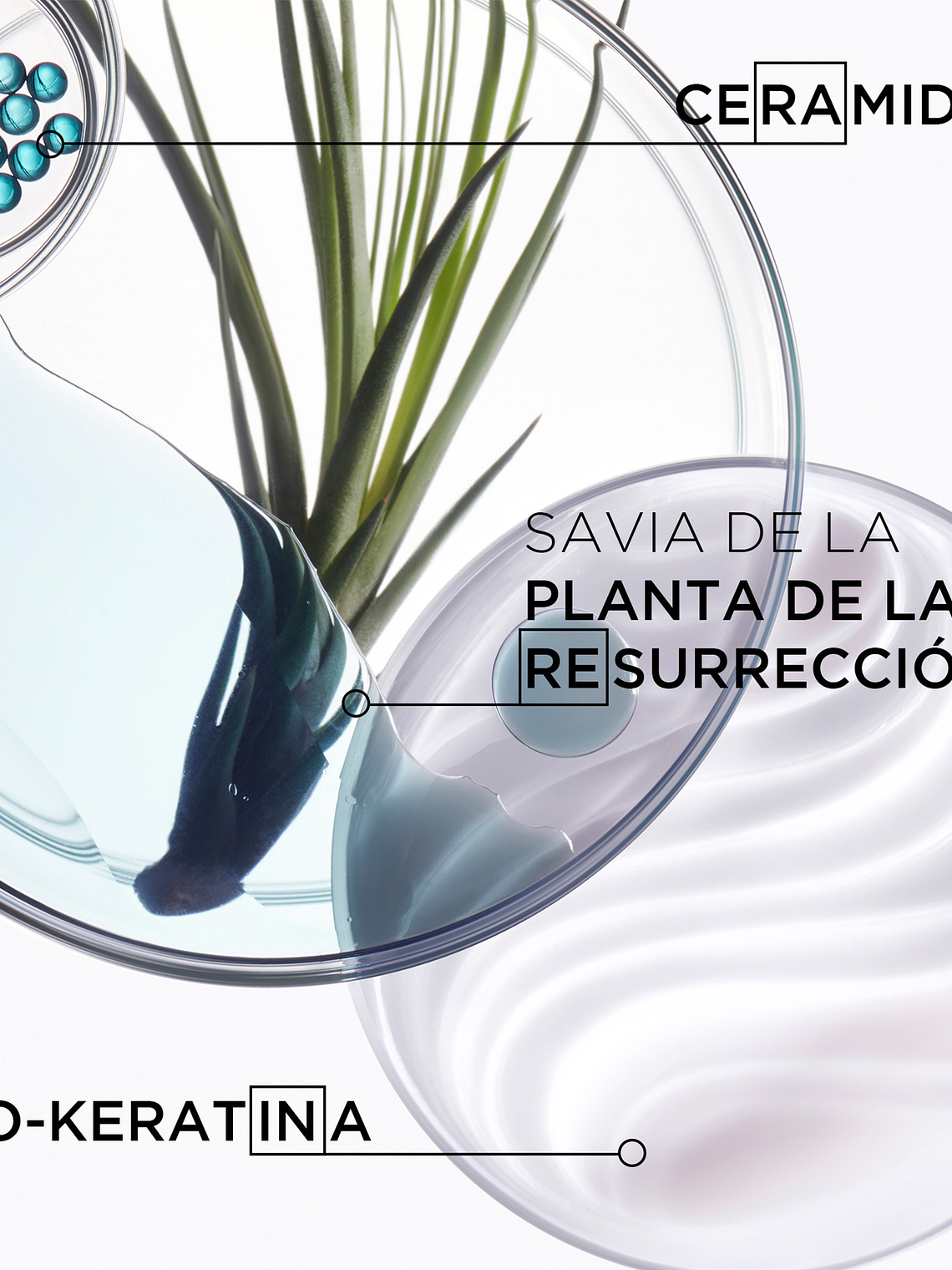 BAIN FORCE ARCHITECTE 4