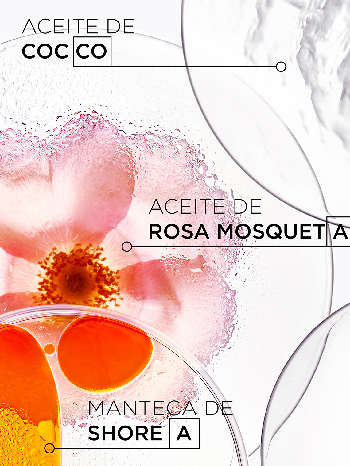 MASQUE OLÉO-RELAX 4