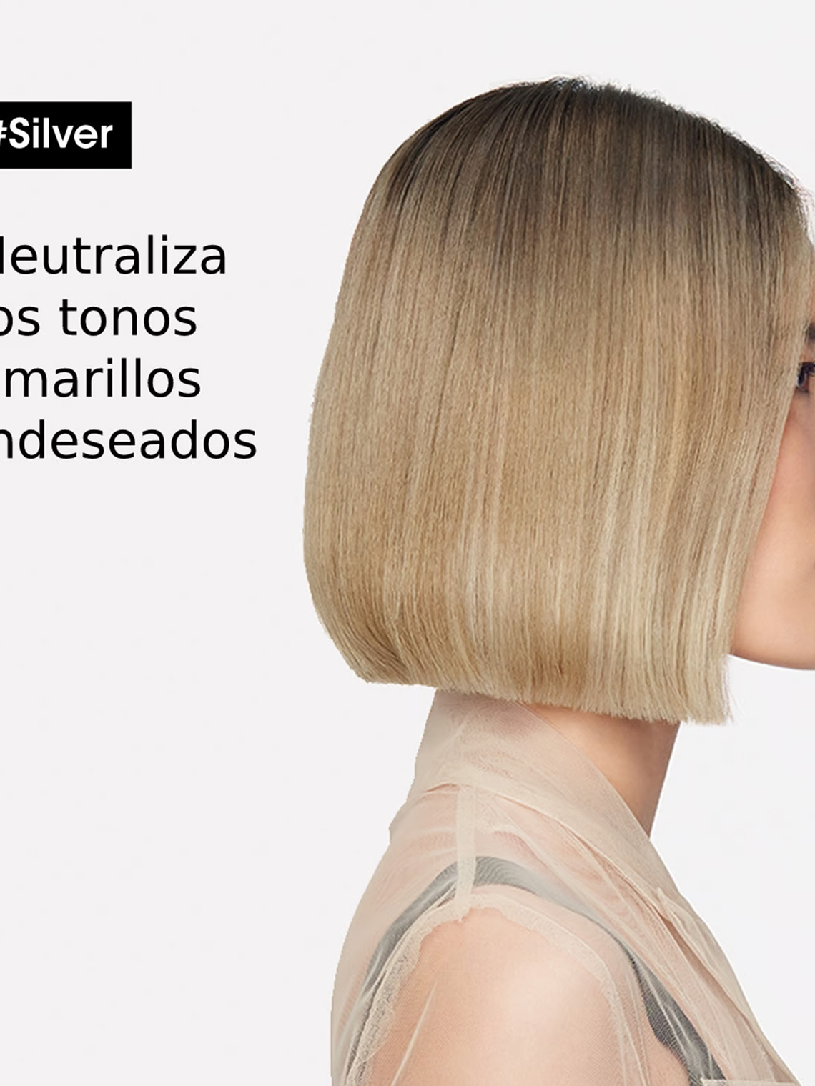 ACONDICIONADOR SILVER 2