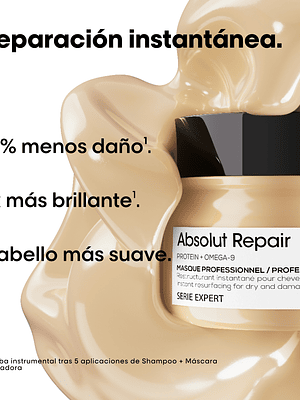 MÁSCARA ABSOLUT REPAIR