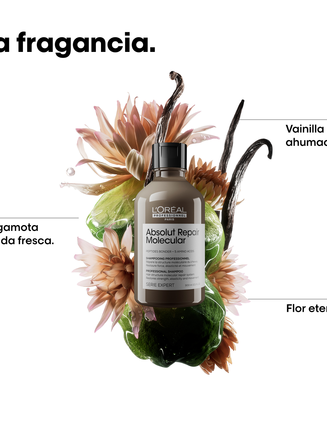 SHAMPOO ABSOLUT REPAIR MOLECULAR 300ML 6