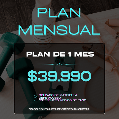 PLAN MENSUAL