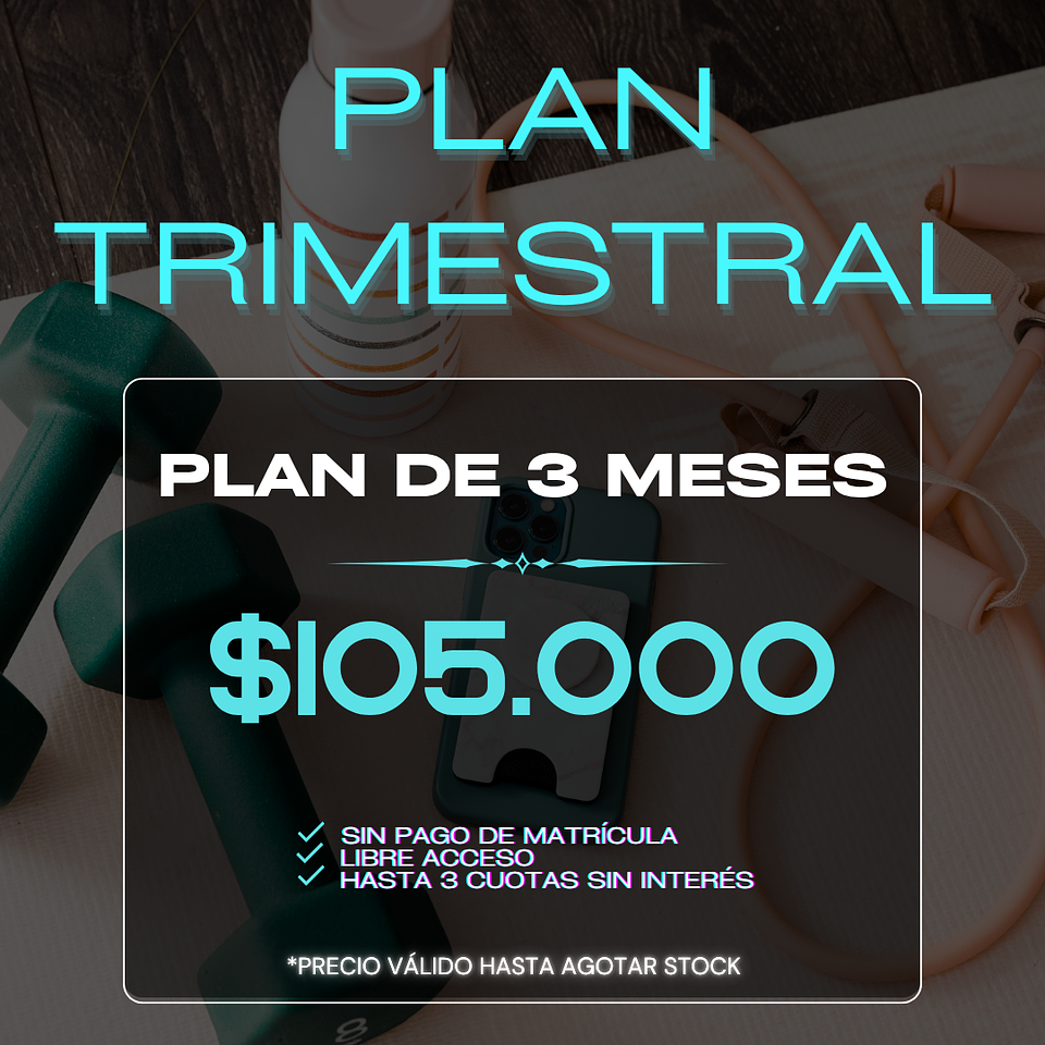 PLAN TRIMESTRAL  1