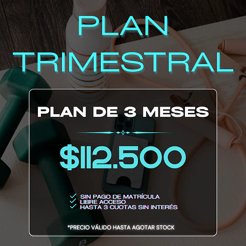 PLAN TRIMESTRAL 