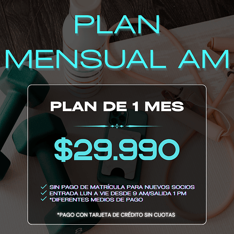 PLAN MENSUAL AM