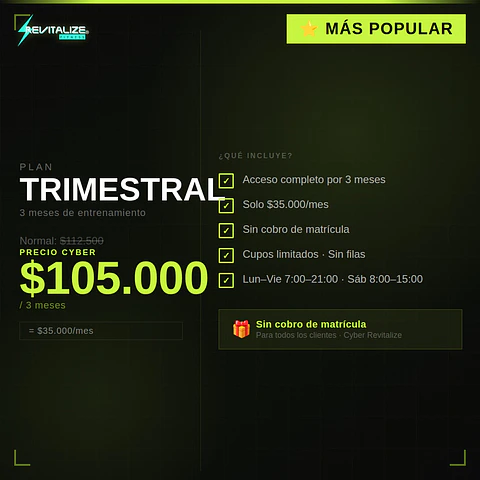 PLAN TRIMESTRAL - CYBER