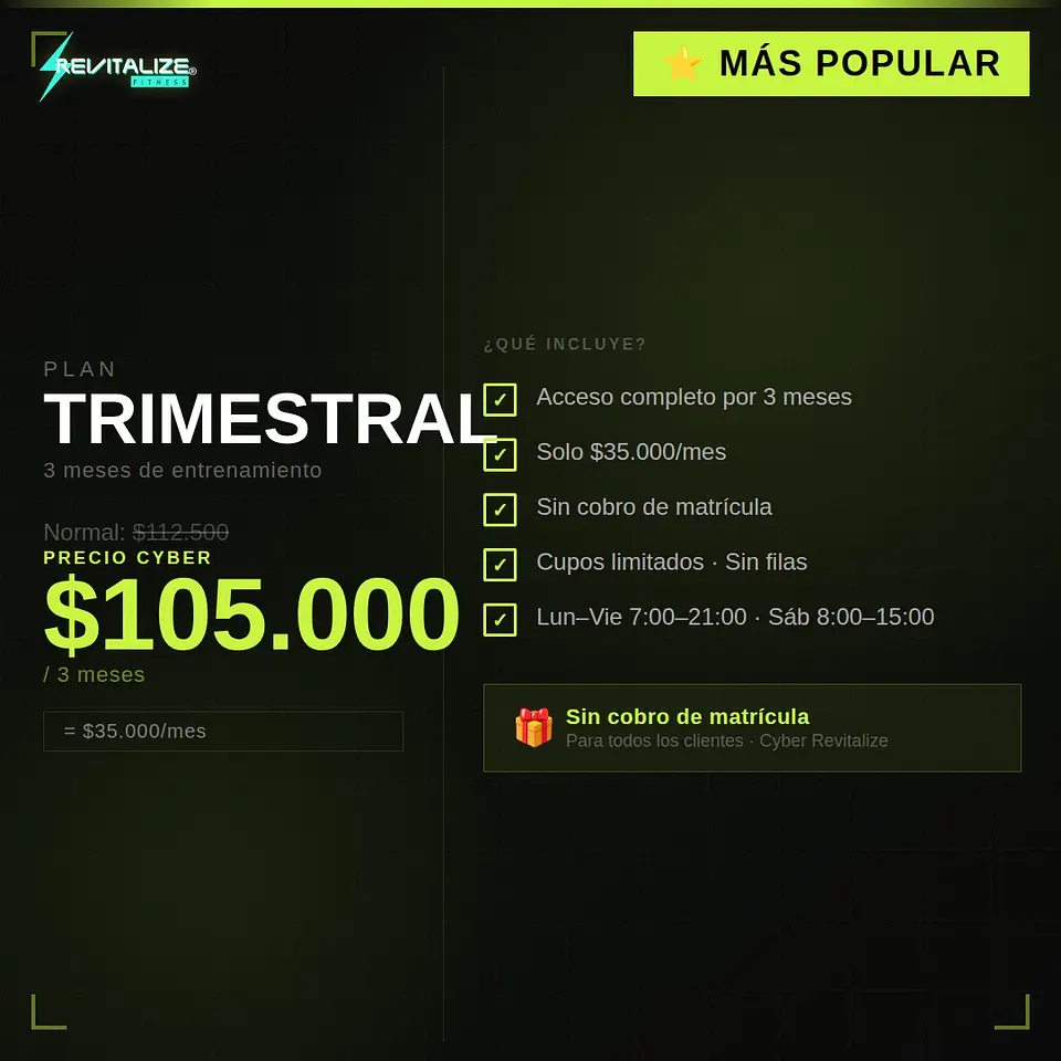 PLAN TRIMESTRAL - CYBER 1