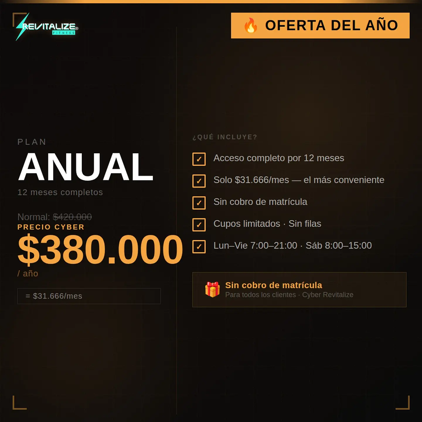 PLAN ANUAL - CYBER  1