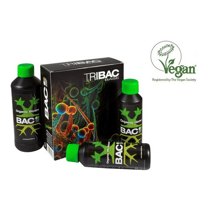 Tripack Tribac - Bac 1