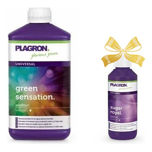 Green Sensation 250ml + Sugar Royal 100ml De Regalo -plagron