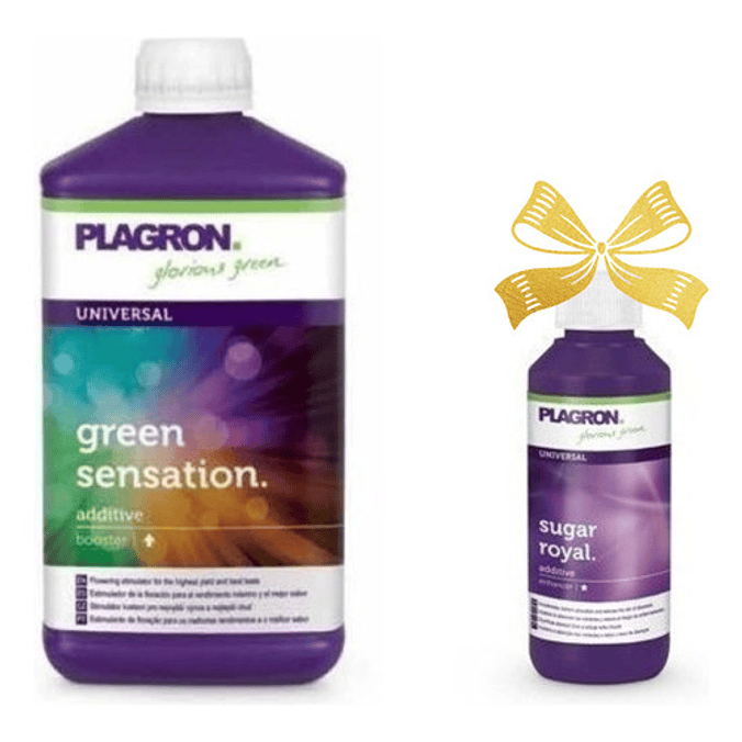 Green Sensation 250ml + Sugar Royal 100ml De Regalo -plagron 1