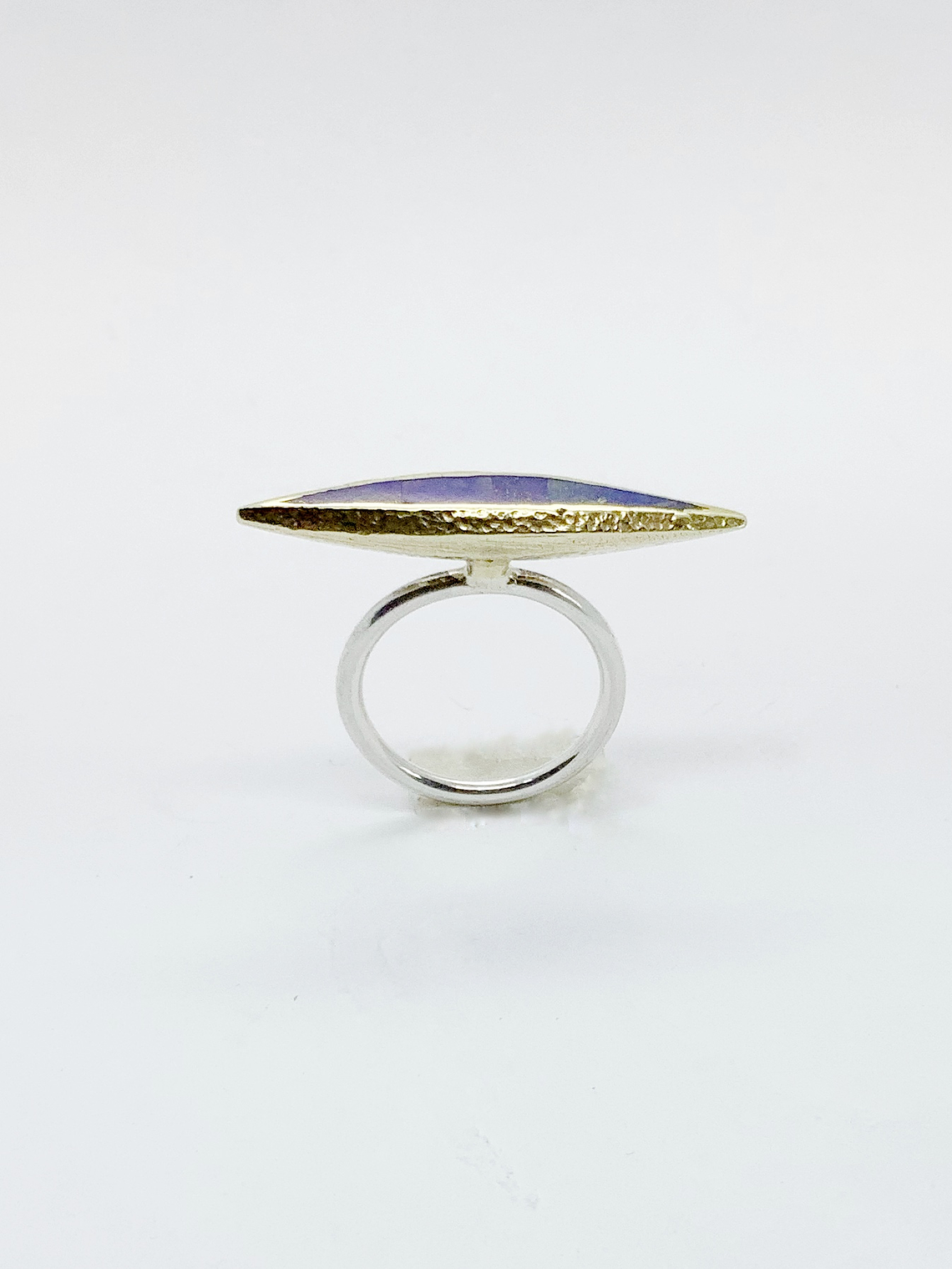 Anillo Toro de Agua 1