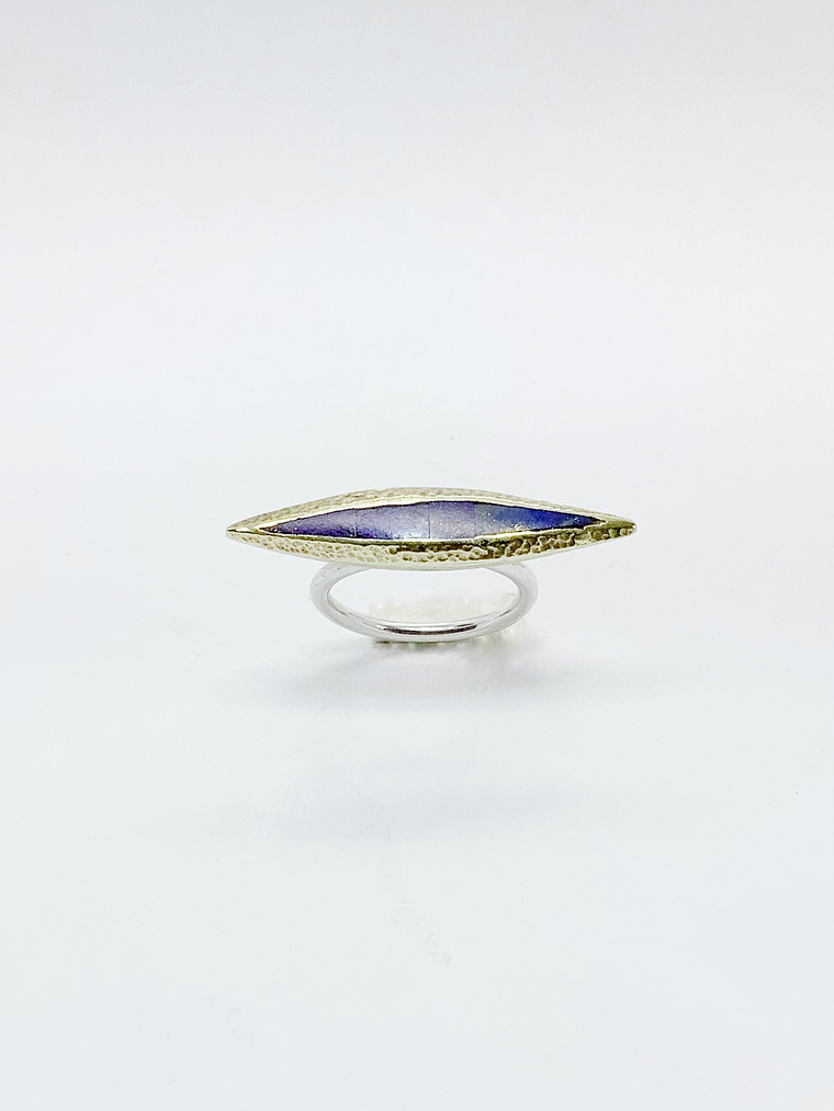 Anillo Toro de Agua 2