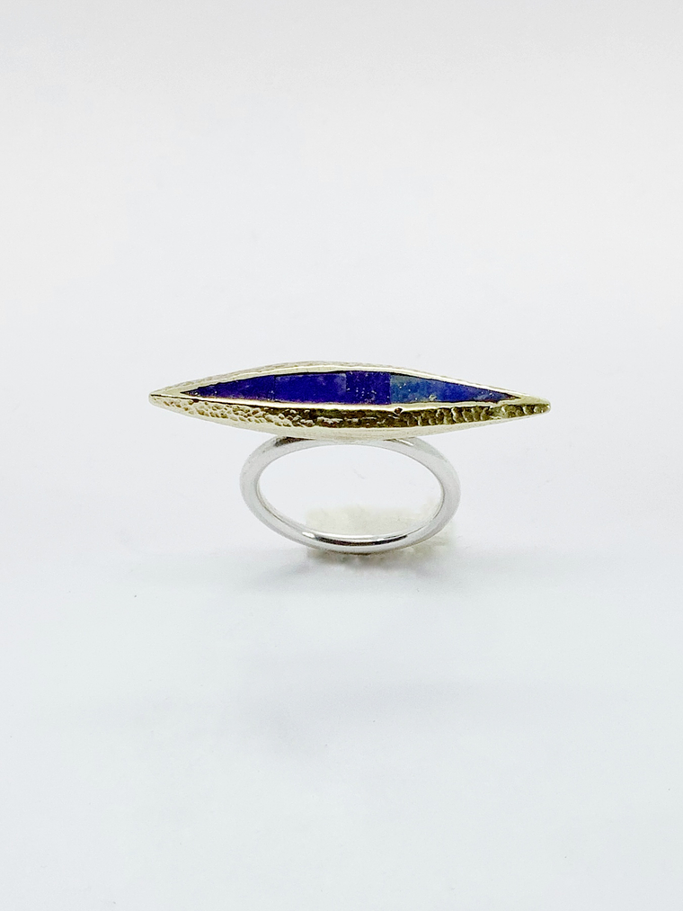 Anillo Toro de Agua 3