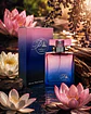 Parfums F31 - Inspirado en Eden - Miniatura 1