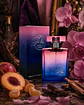 Parfums F41 - Inspirado en Can Can - Miniatura 1