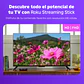 Roku Streaming Stick HD 2025 con Control por Voz - Miniatura 2