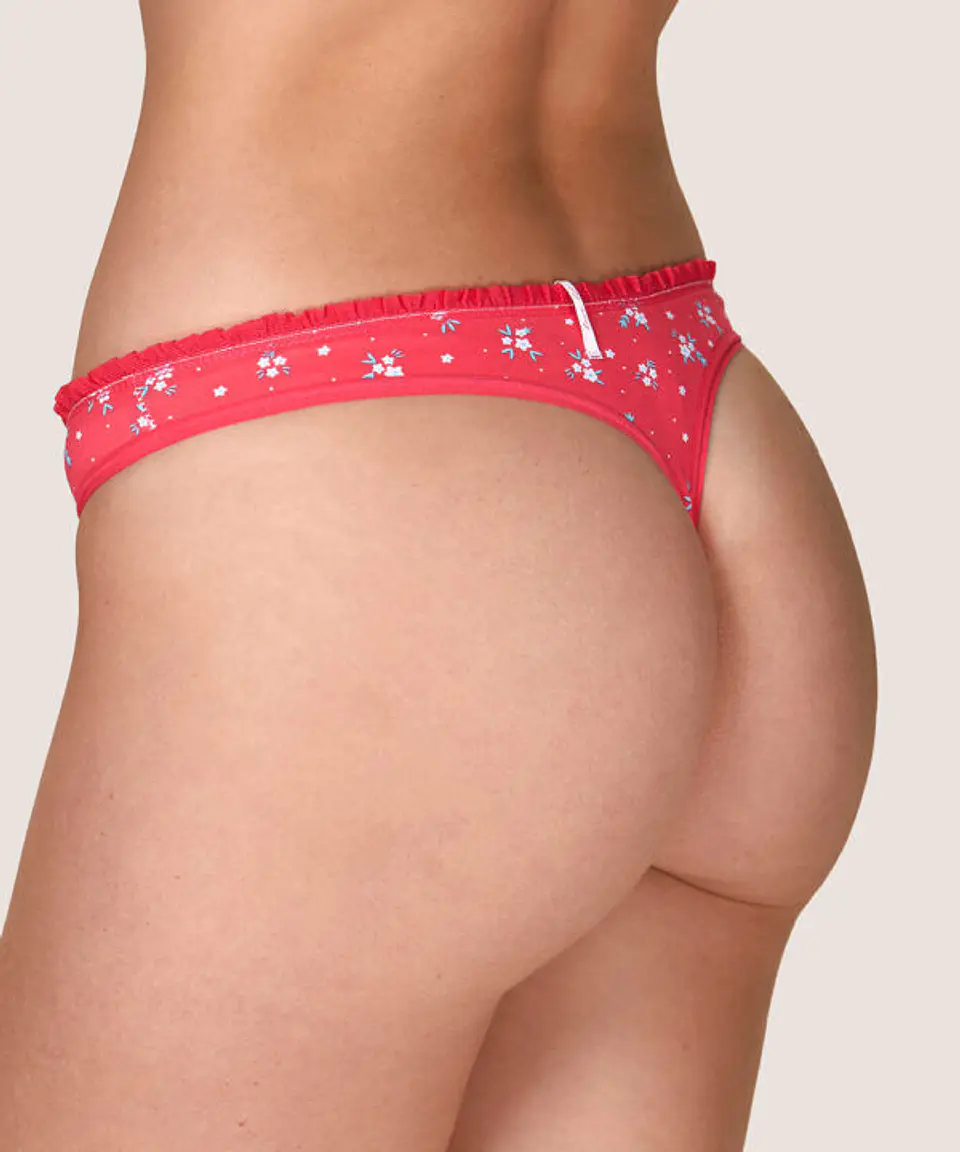 Colaless Cotton 2