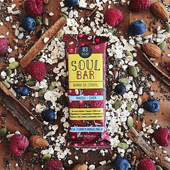 SOUL BAR BARRA DE CEREAL