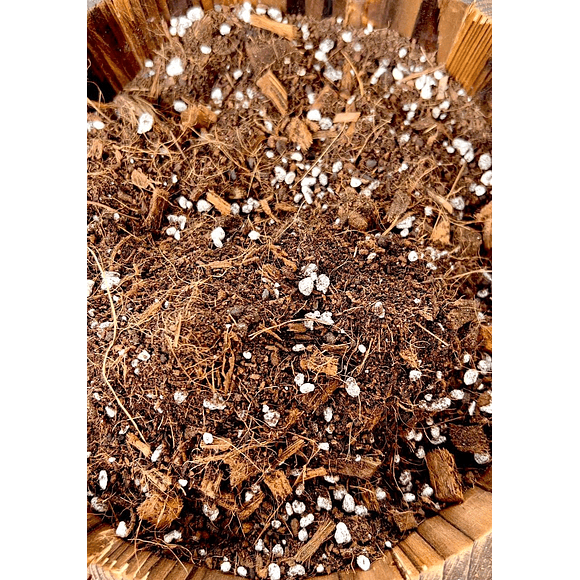 Sustrato Premium para plantas de interior o en macetas 2